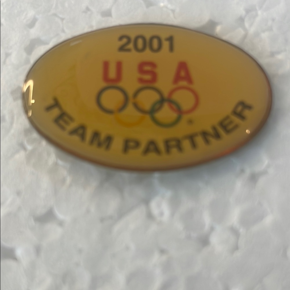 Vintage Y2K 2001 USA Olympic Team Partner lapel hat pin Salt Lake City